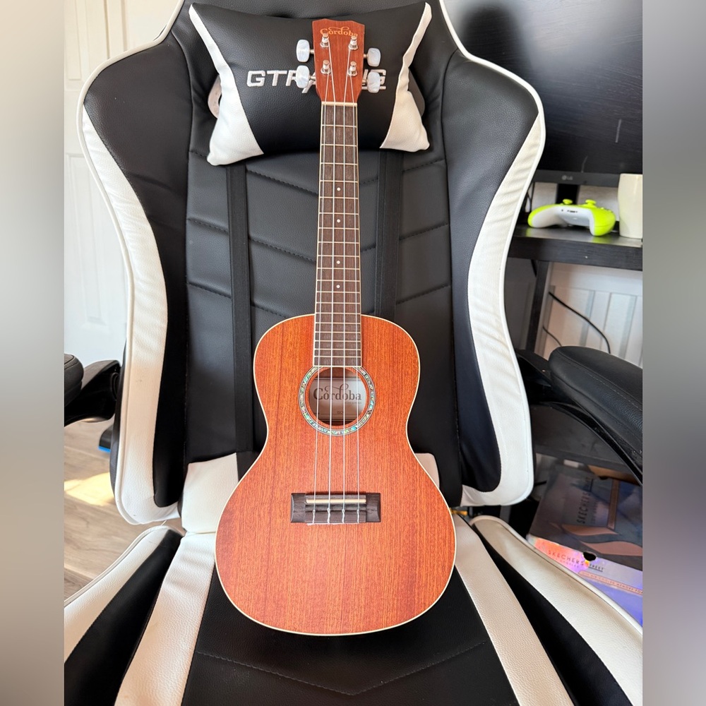 Mahogany Concert Ukulele
